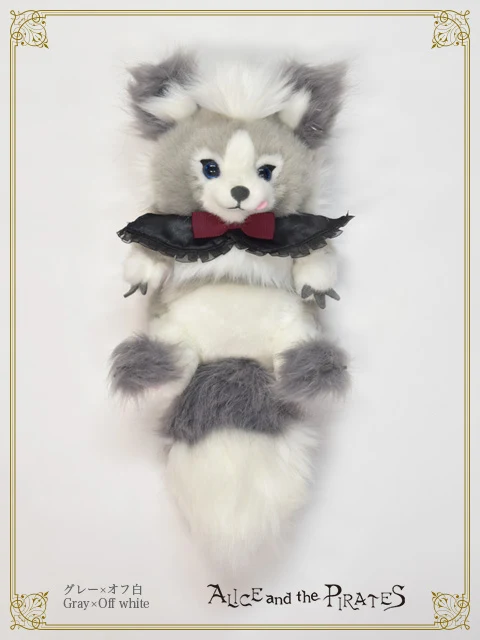 Search